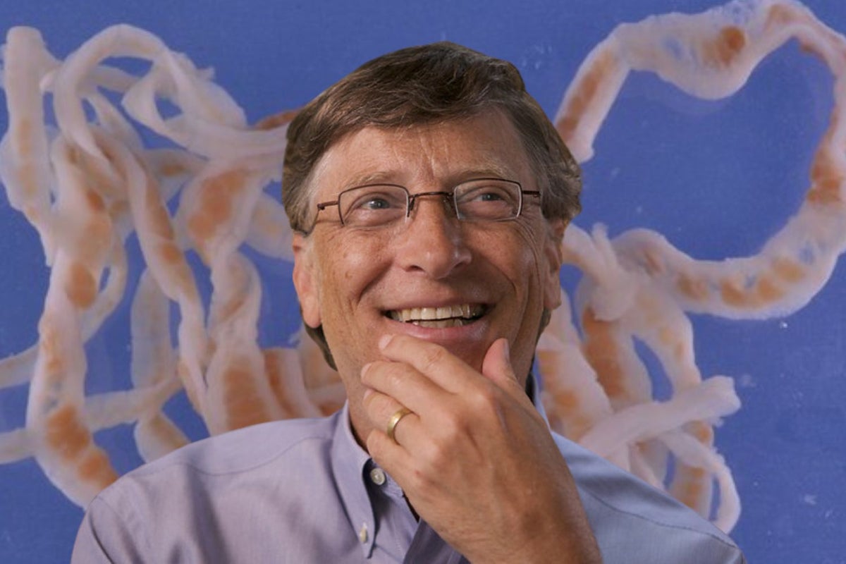 Bill Gates Says He's Happiest When He Does This — 'No Matter How Gross The Subject Matter'