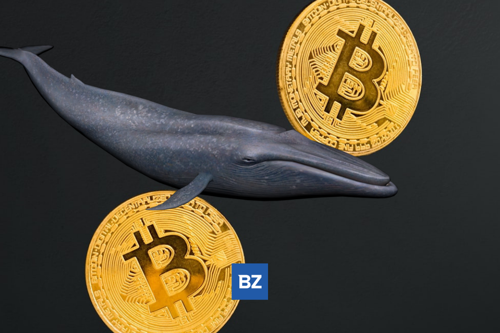 Bitcoin (BTC/USD) – Bitcoin Whale Just Transferred $42M BTC From Coinbase To Binance