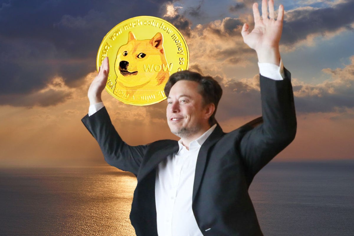 Musk Declares 'Doge To The Moon,' And The Meme Crypto Takes Off - Dogecoin (DOGE/USD)